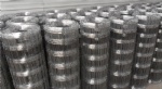 Knotted Wire Mesh Fence